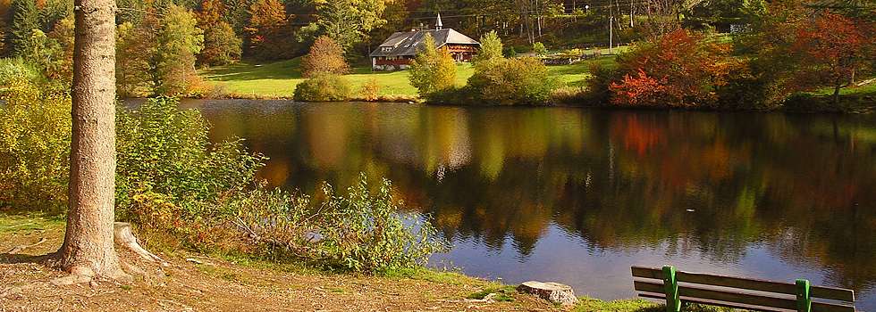 Klosterweiher Dachsberg / Hotzenwald Online